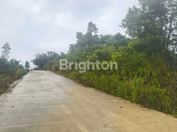 Gambar Property LAHAN STRATEGIS 1 HEKTAR DEKAT KANTOR BUPATI