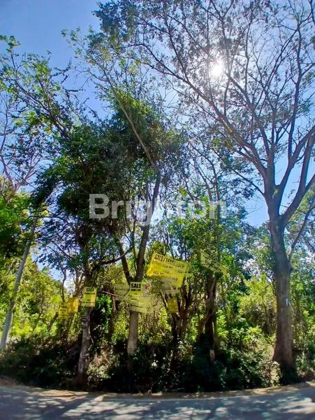 TANAH 5 ARE DI ULUWATU PECATU COCOK UNTUK BANGUN VILLA COMERCIAL