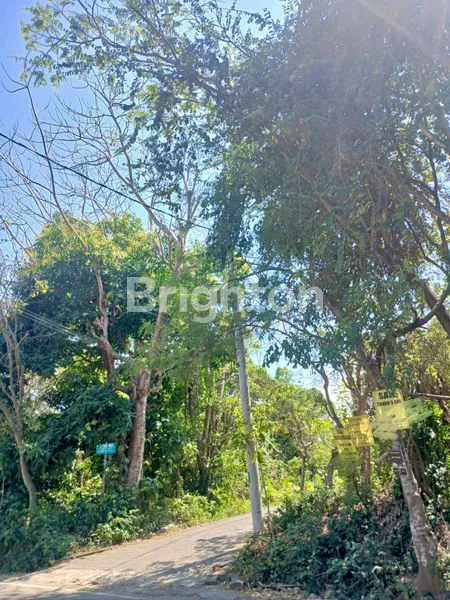 image TANAH 5 ARE DI ULUWATU PECATU COCOK UNTUK BANGUN VILLA COMERCIAL  (2)