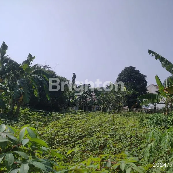 image TANAH LUAS 950 M² SHM DI CILEBUT TIMUR – HANYA 800JUTA! DEKAT STASIUN & AKSES KOTA (1)