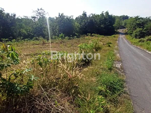 image DIJUAL TANAH LUAS 3000M² DI MOJOSONGO SOLO – COCOK UNTUK INVESTASI & PERUMAHAN (3)