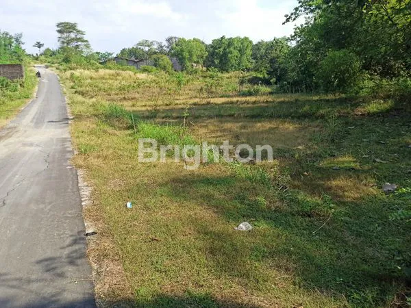 image DIJUAL TANAH LUAS 3000M² DI MOJOSONGO SOLO – COCOK UNTUK INVESTASI & PERUMAHAN (2)