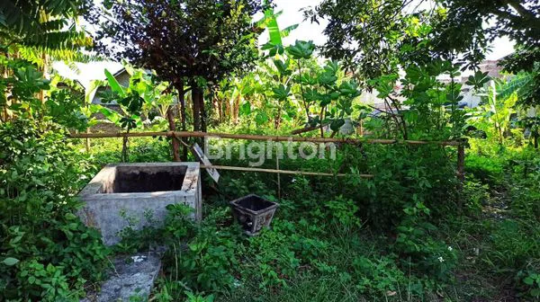 image TANAH KAVLING DATAR PERUMAHAN DI GOMBEL SEMARANG (5)