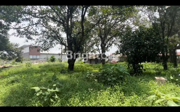 image TANAH INDUSTRI 32.000 M² DI GUNUNG SINDUR (3)