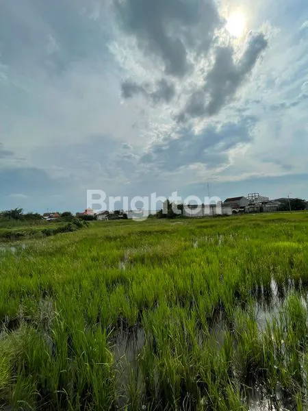 image TANAH SAWAH DI CANDI, WEDORO KLURAK, SIDOARJO  (1)