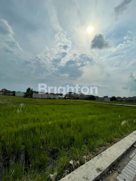 image TANAH SAWAH DI CANDI, WEDORO KLURAK, SIDOARJO  (6)