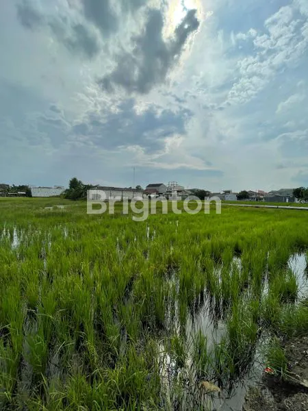 image TANAH SAWAH DI CANDI, WEDORO KLURAK, SIDOARJO  (4)