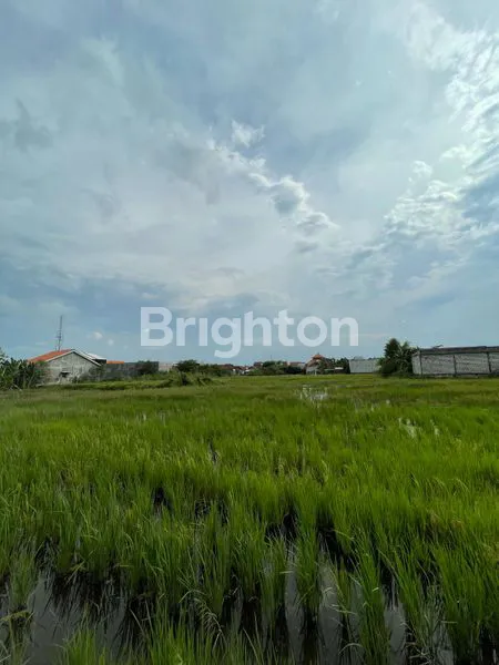 image TANAH SAWAH DI CANDI, WEDORO KLURAK, SIDOARJO  (5)