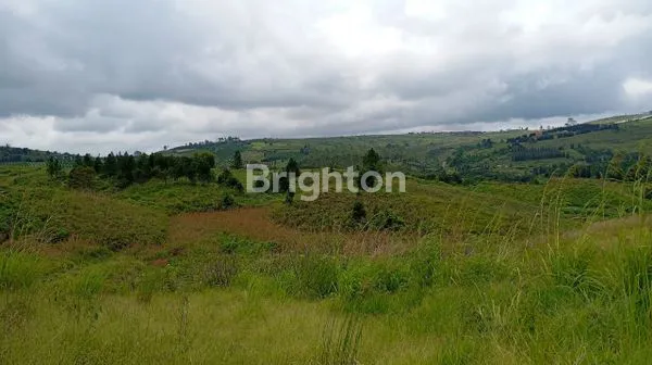 TANAH SIOSAR 2,9HA KABANJAHE