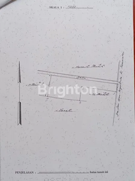 image TANAH STRATEGIS DI JALAN RAYA SAYAN UBUD + BONUS BANGUNAN LAMA (4)