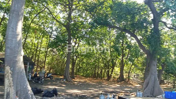 image TANAH MURAH PREMIUM TULAMBEN (3)