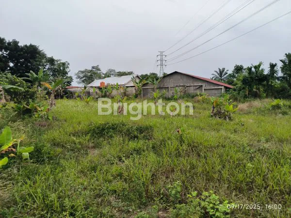 image TANAH LUAS 1,5 HA DI MUARA FAJAR, DEKAT TOL MINAS (4)