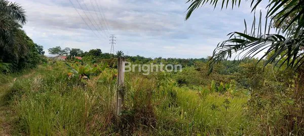 image TANAH LUAS 1,5 HA DI MUARA FAJAR, DEKAT TOL MINAS (8)