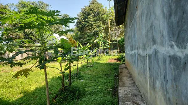 image TANAH LUAS 1500 M² BONUS USAHA WALLET PARUNG KUDA SUKABUMI (6)