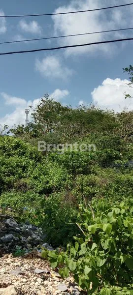 image TANAH SHM 500M², LOKASI STRATEGIS BALI (1)