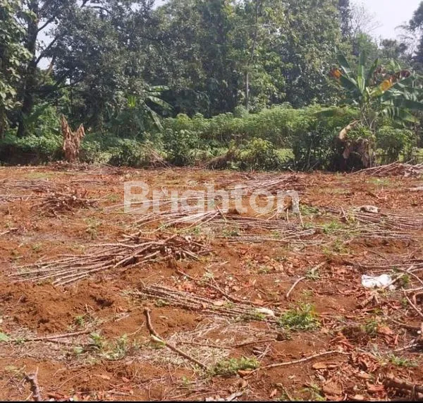 image TANAH LUAS 892 M² SHM DI SUKARAJA BOGOR – STRATEGIS, SIAP BANGUN & HARGA NEGO! (1)