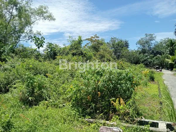 image DI JUAL TANAH (2)