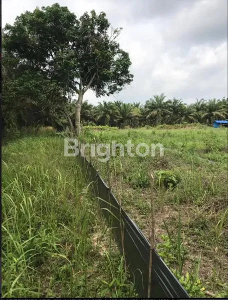 image DIJUAL TANAH COCOK PERKEBUNAN ATAU INVESTASI DI RUMBAI (2)