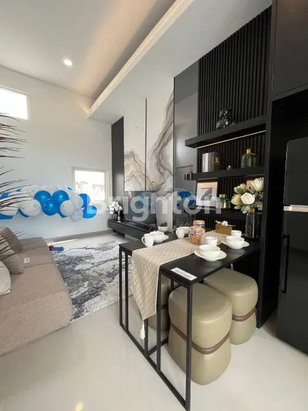 image WOODVILLE CLUSTER CEDAR ASTER (2)