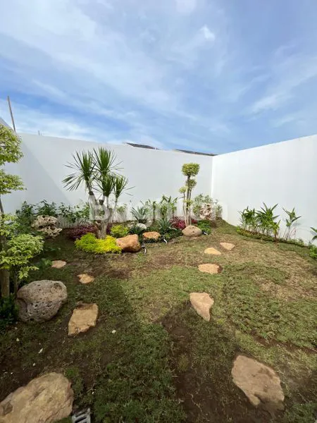 image WOODVILLE CLUSTER CEDAR ASTER (7)