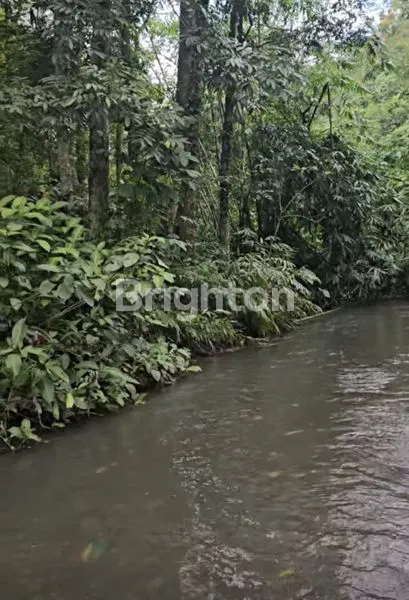 image LAHAN STRATEGIS DI TEGALLALANG UBUD (3)