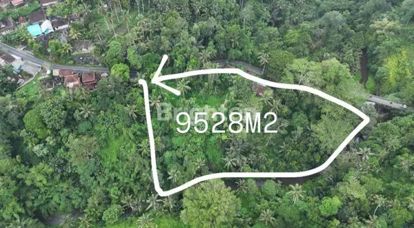 image LAHAN STRATEGIS DI TEGALLALANG UBUD (4)