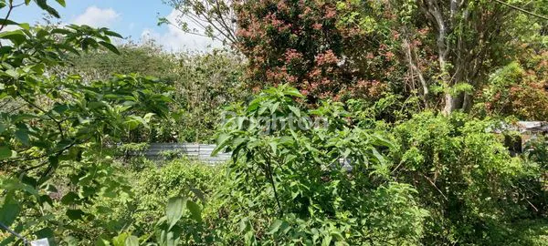 image TANAH STRATEGIS 500M² DI PURA BATU JIMBARAN (2)