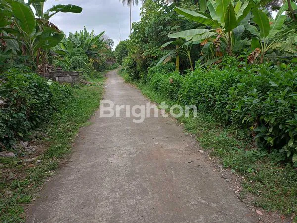 SEWA TANAH LUAS 58 ARE AKSES SUNGAI