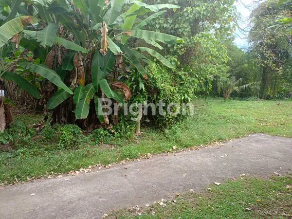 image SEWA TANAH LUAS 58 ARE AKSES SUNGAI (2)