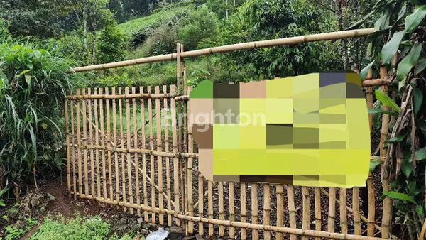 image TANAH SHM 5.051M² DI CIWIDEY, STRATEGIS (2)