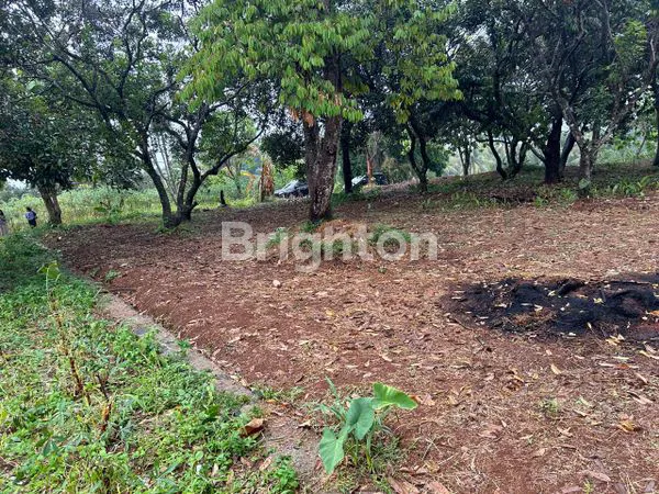image TANAH KAVLING LOKASI STRATEGIS DI PARUNG HIJAU BOGOR  (1)