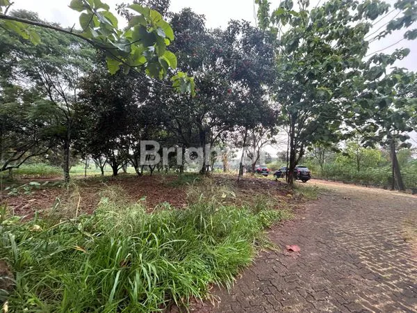 image TANAH KAVLING LOKASI STRATEGIS DI PARUNG HIJAU BOGOR  (2)