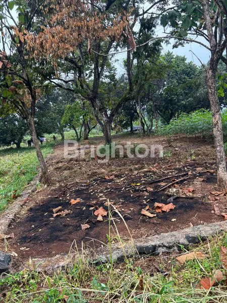 image TANAH KAVLING LOKASI STRATEGIS DI PARUNG HIJAU BOGOR  (3)