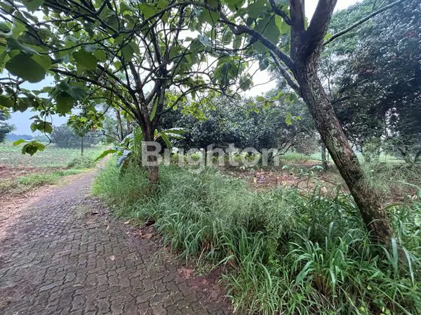 image TANAH KAVLING LOKASI STRATEGIS DI PARUNG HIJAU BOGOR  (6)