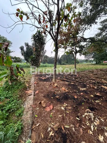 image TANAH KAVLING LOKASI STRATEGIS DI PARUNG HIJAU BOGOR  (7)