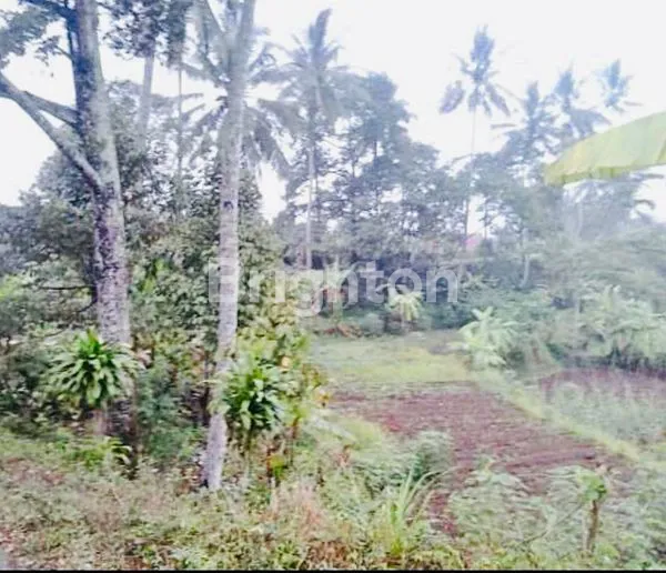 image JUAL TANAH SANGAT LUAS, COCOK UNTUK VILLA, GLAMPING DAN OUTBOND, CAFE DAN USAHA LAINNYA (2)