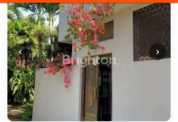 image SEWA VILLA KEDUNGU (2)