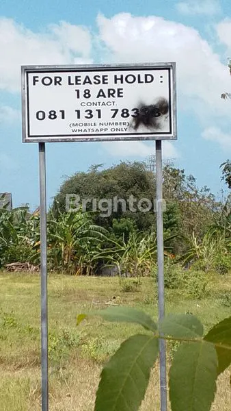 image INVESTASI TANAH PREMIUM KARANG MAS (3)