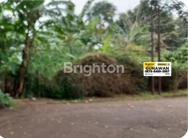 image KAVLING ROYAL PALM ISOLA (1)