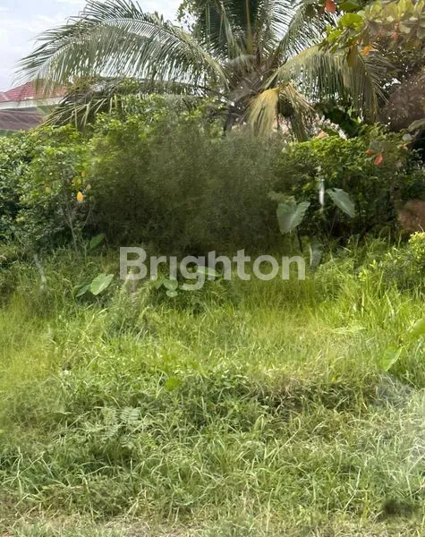 image TANAH LUAS 1240M² SHM DI KARYA BARU (2)