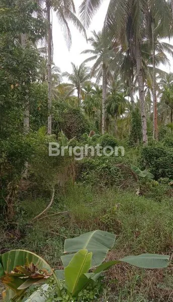 image TANAH SHM SIAP HUNI 6,7 HEKTAR JERUJU (1)