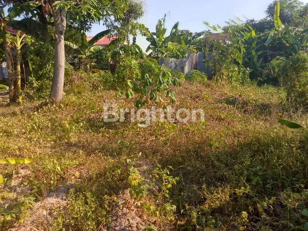 image DIJUAL TANAH STRATEGIS DI TANJUNG LAUT BONTANG (3)