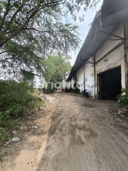 image RAYA MARGOMULYO (8)