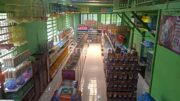 RUKO 2 LANTAI SIAP USAHA DI JALAN ARCO RAYA – LOKASI RAMAI & PROSPEK TINGGI JUAL CEPAT