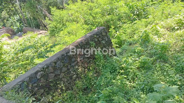 image TANAH SIAP BANGUN, VIEW SUNGAI & TERASERING (4)