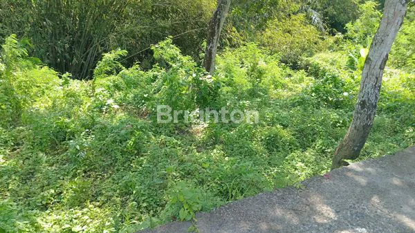 image TANAH SIAP BANGUN, VIEW SUNGAI & TERASERING (2)