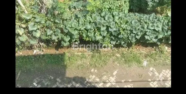 image GUDANG JUAL (1)