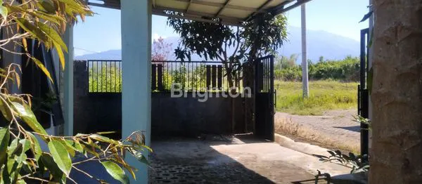 image RUMAH MURAH + KEBUN VIEW PEGUNUNGAN DI BUMIAJI BATU (2)