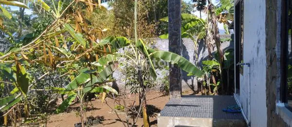 image RUMAH MURAH + KEBUN VIEW PEGUNUNGAN DI BUMIAJI BATU (8)