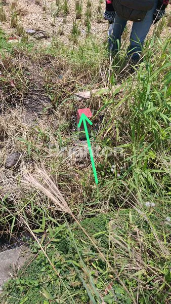 image TANAH LUAS 3.080M² DI RAYA MUNGGU  CANGGU (3)